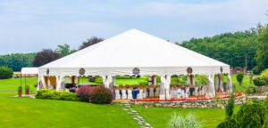 party tent rentals dutchess county